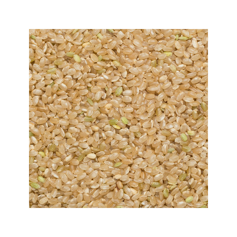 Ekologiški rudieji ryžiai, trumpagrūdžiai