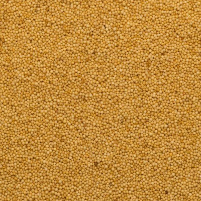 Ekologiškos burnočio (amaranto) sėklos