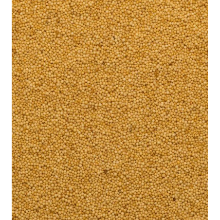 Ekologiškos burnočio (amaranto) sėklos