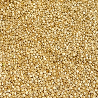 Ekologiška bolivinė balanda, šviesi