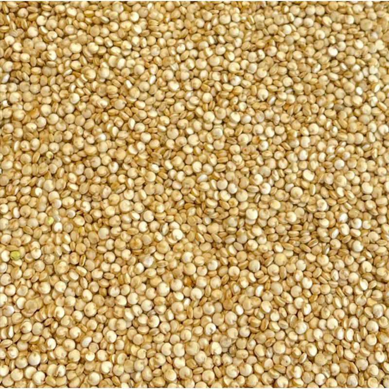 Ekologiška bolivinė balanda, šviesi