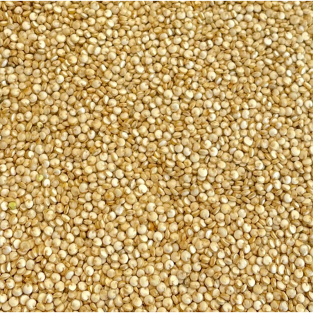 Ekologiška bolivinė balanda, šviesi