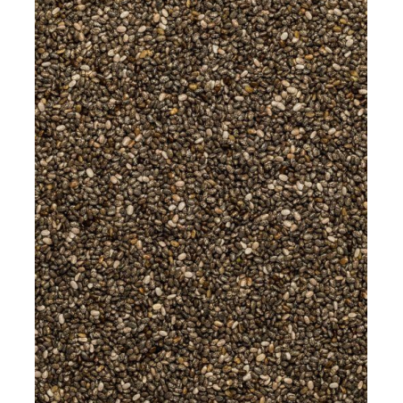 Ekologiškos ispaninio šalavijo (chia) sėklos