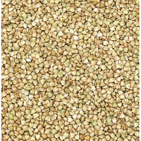 Ekologiški lukštenti (žali) grikiai