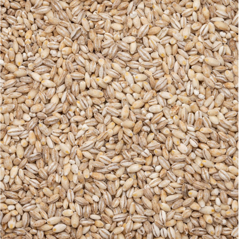 copy of copy of EKologiškos miežinės kruopos