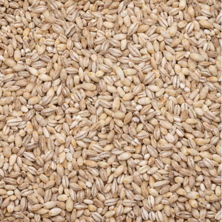 copy of copy of EKologiškos miežinės kruopos