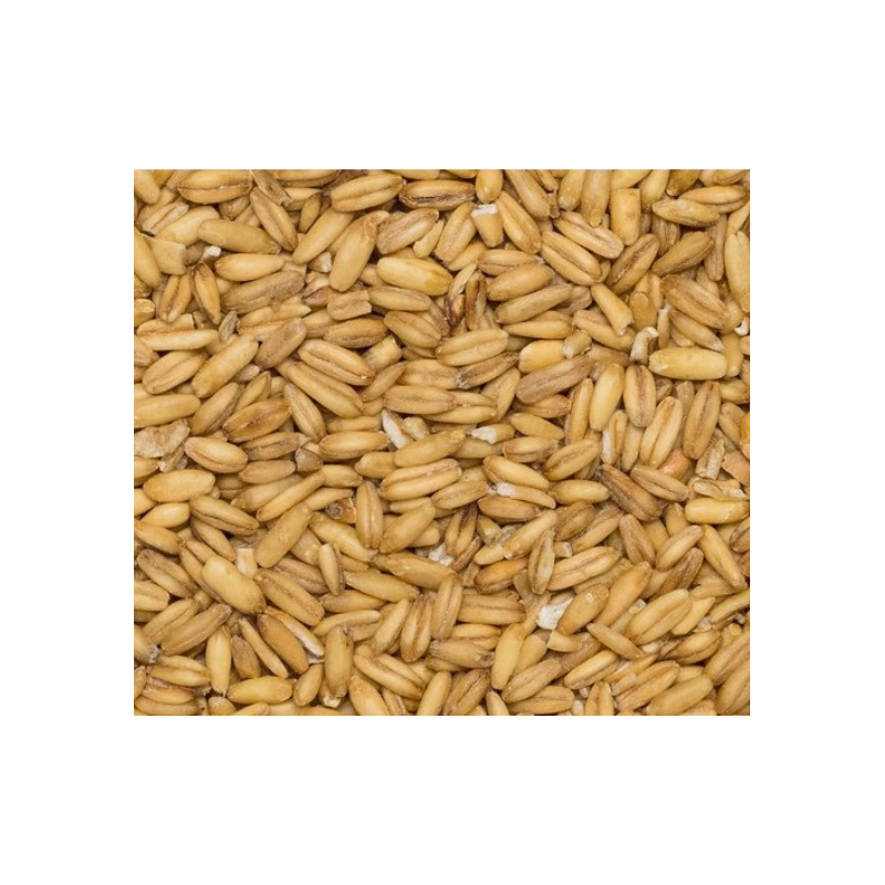 Ekologiškos avižų kruopos