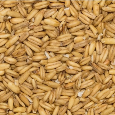 Ekologiškos avižų kruopos