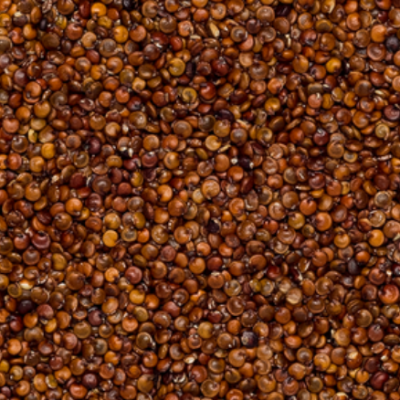 Ekologiška bolivinė balanda raudona