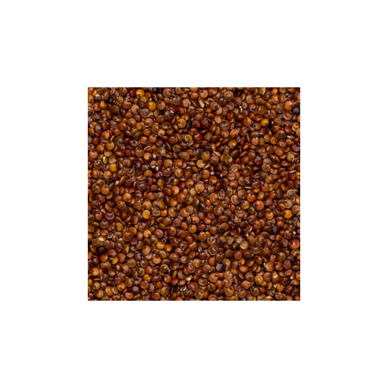 Ekologiška bolivinė balanda raudona