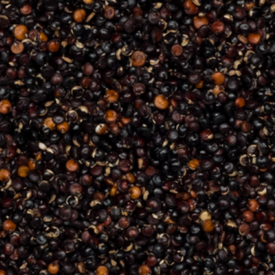 Ekologiška bolivinė balanda juoda