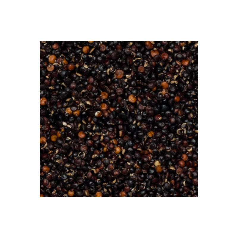 Ekologiška bolivinė balanda juoda