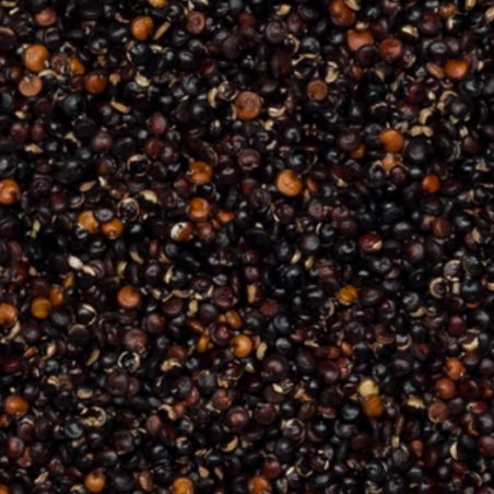 Ekologiška bolivinė balanda juoda