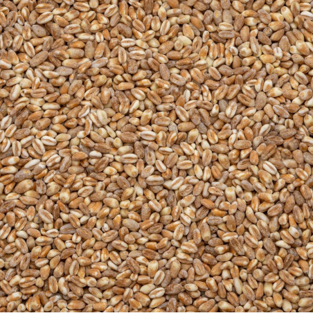 Ekologiški kviečiai